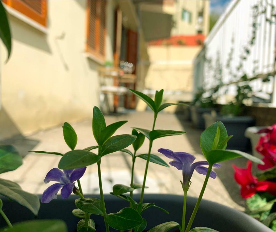 Open The Classic Wooden Shutters At A Cozy City Nest Florenţa Exterior foto